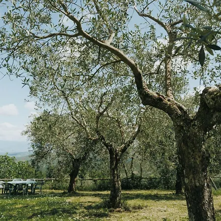 Apartment Pietro Mit Gemeinschaftspool By Interhome *