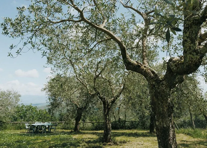 Apartment Pietro Mit Gemeinschaftspool By Interhome *