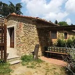 Appartement Pietro Mit Gemeinschaftspool By Interhome Rapale