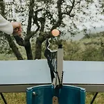Pietro Mit Gemeinschaftspool By Interhome *